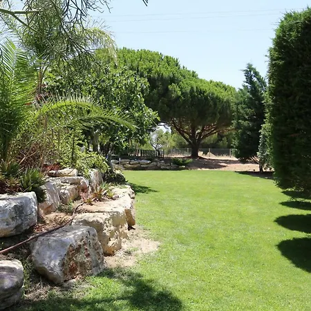 别墅 Quinta Do Pinheiro Manso - Holidays - Marinha *