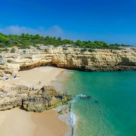 Quinta Do Pinheiro Manso - Holidays - Marinha Villa *