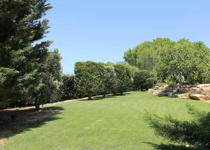 Quinta Do Pinheiro Manso - Holidays - Marinha * Carvoeiro (Lagoa)