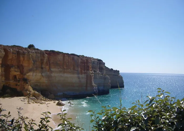Quinta Do Pinheiro Manso - Holidays - Marinha