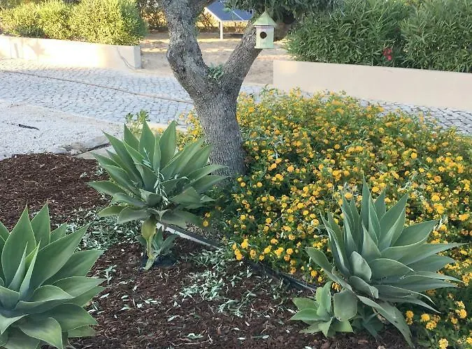 Willa Quinta Do Pinheiro Manso - Holidays - Marinha Carvoeiro (Lagoa)